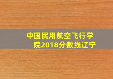 中国民用航空飞行学院2018分数线辽宁