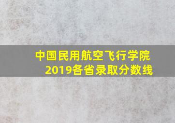 中国民用航空飞行学院2019各省录取分数线