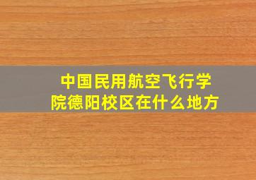 中国民用航空飞行学院德阳校区在什么地方