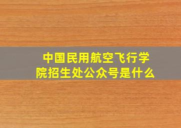 中国民用航空飞行学院招生处公众号是什么