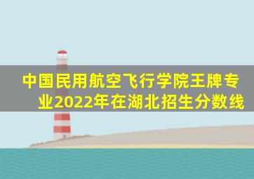 中国民用航空飞行学院王牌专业2022年在湖北招生分数线