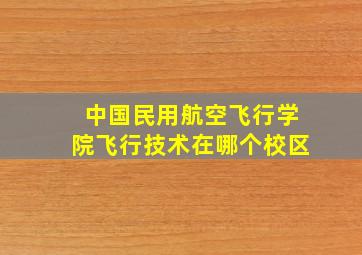 中国民用航空飞行学院飞行技术在哪个校区