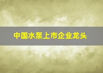 中国水泵上市企业龙头