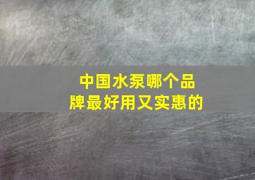 中国水泵哪个品牌最好用又实惠的