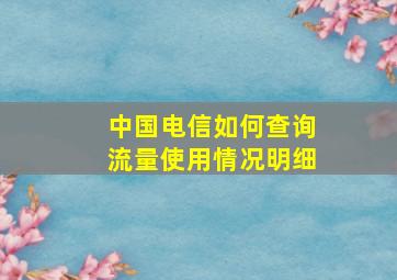 中国电信如何查询流量使用情况明细