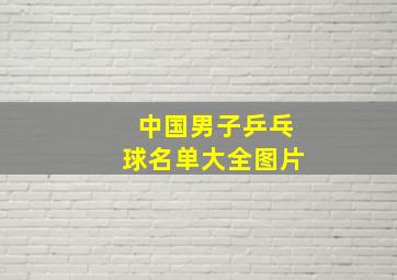 中国男子乒乓球名单大全图片