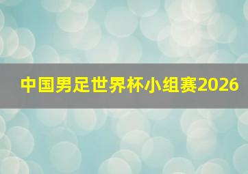 中国男足世界杯小组赛2026