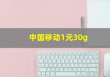 中国移动1元30g