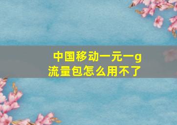 中国移动一元一g流量包怎么用不了