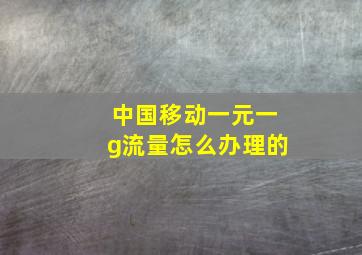 中国移动一元一g流量怎么办理的