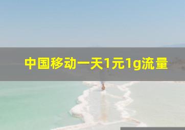 中国移动一天1元1g流量