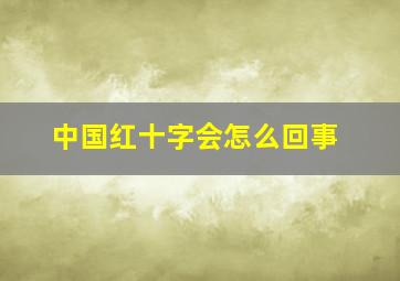 中国红十字会怎么回事