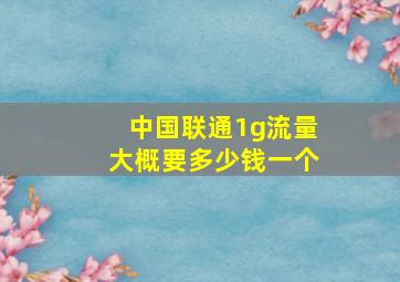 中国联通1g流量大概要多少钱一个