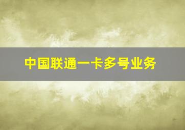 中国联通一卡多号业务