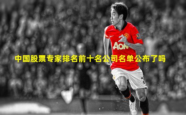 中国股票专家排名前十名公司名单公布了吗