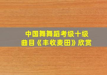 中国舞舞蹈考级十级曲目《丰收麦田》欣赏