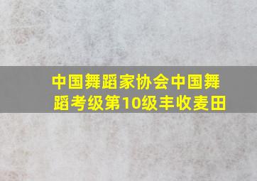 中国舞蹈家协会中国舞蹈考级第10级丰收麦田