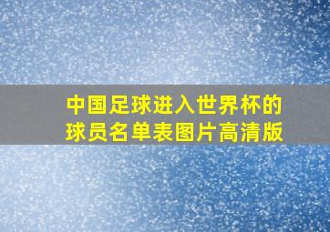 中国足球进入世界杯的球员名单表图片高清版