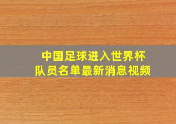 中国足球进入世界杯队员名单最新消息视频