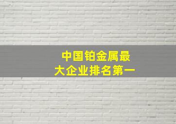 中国铂金属最大企业排名第一