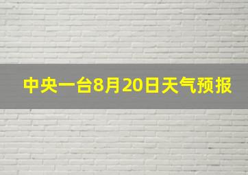 中央一台8月20日天气预报