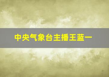 中央气象台主播王蓝一