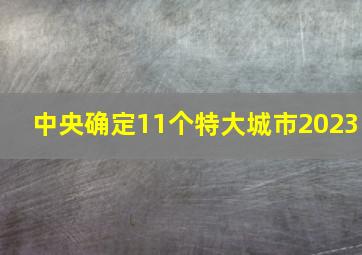 中央确定11个特大城市2023