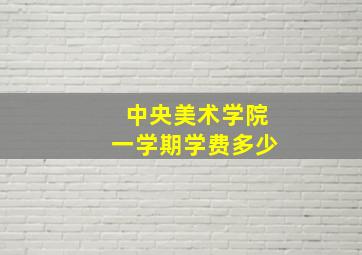 中央美术学院一学期学费多少