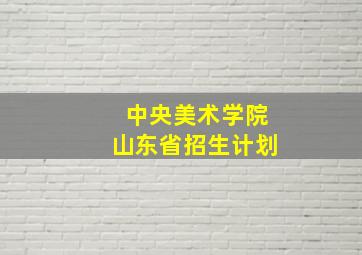 中央美术学院山东省招生计划