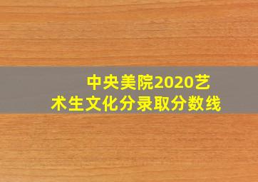 中央美院2020艺术生文化分录取分数线