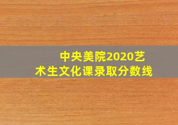 中央美院2020艺术生文化课录取分数线