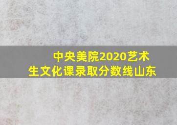 中央美院2020艺术生文化课录取分数线山东