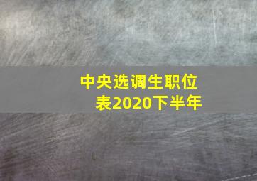 中央选调生职位表2020下半年