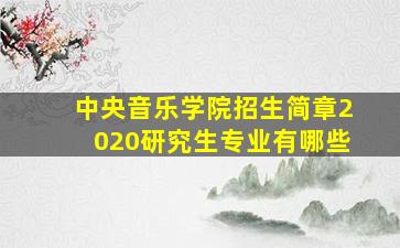 中央音乐学院招生简章2020研究生专业有哪些