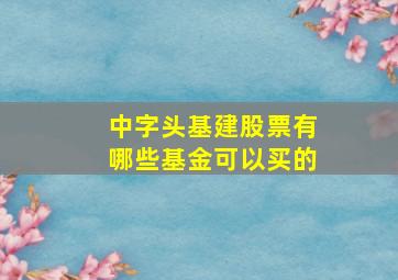 中字头基建股票有哪些基金可以买的