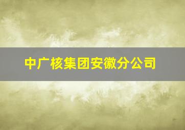 中广核集团安徽分公司