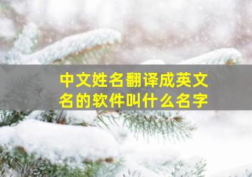 中文姓名翻译成英文名的软件叫什么名字