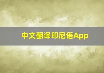 中文翻译印尼语App