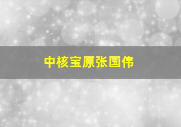 中核宝原张国伟