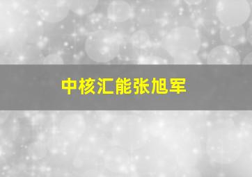 中核汇能张旭军