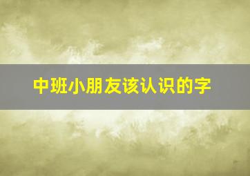 中班小朋友该认识的字