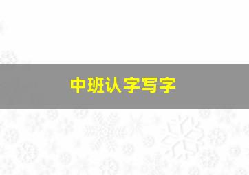 中班认字写字