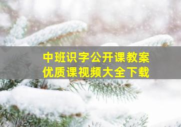 中班识字公开课教案优质课视频大全下载