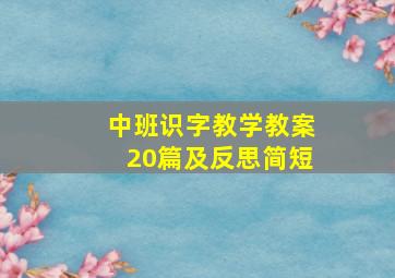 中班识字教学教案20篇及反思简短