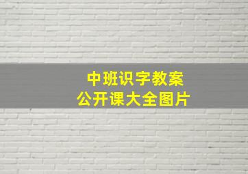 中班识字教案公开课大全图片