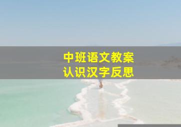 中班语文教案认识汉字反思