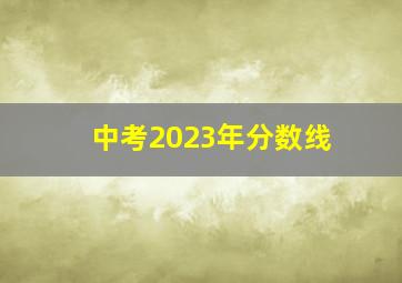 中考2023年分数线