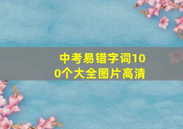 中考易错字词100个大全图片高清