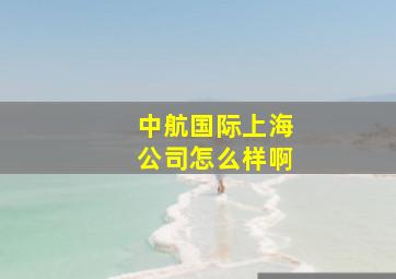 中航国际上海公司怎么样啊