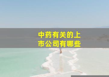 中药有关的上市公司有哪些